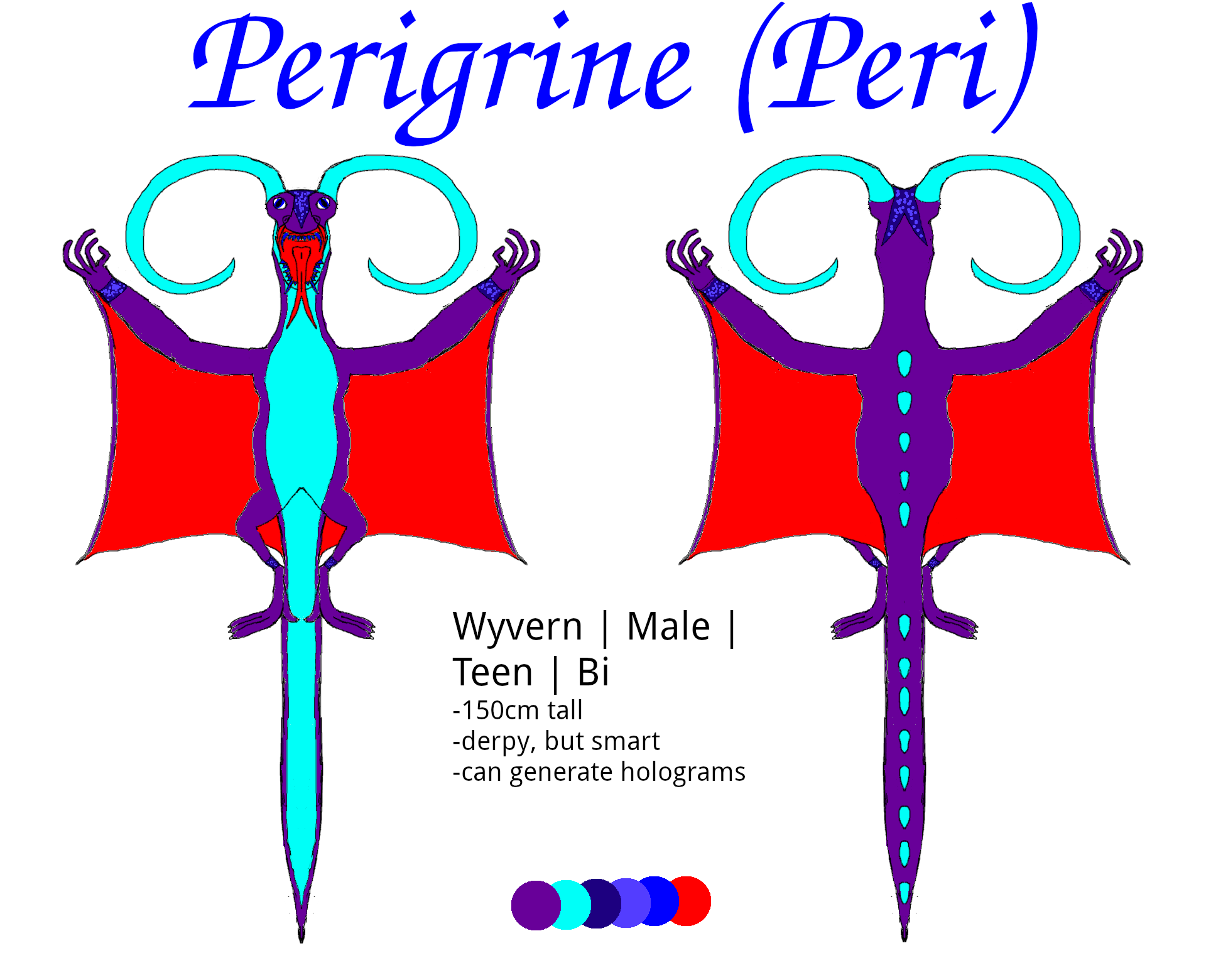 A reference sheet for a wyvern: Peregrine. The wyvern is purple with a bright teal underbelly and ram horns. His wings are bright red. He has sparkly indigo scales on top of his head and on his wrists and ankles.