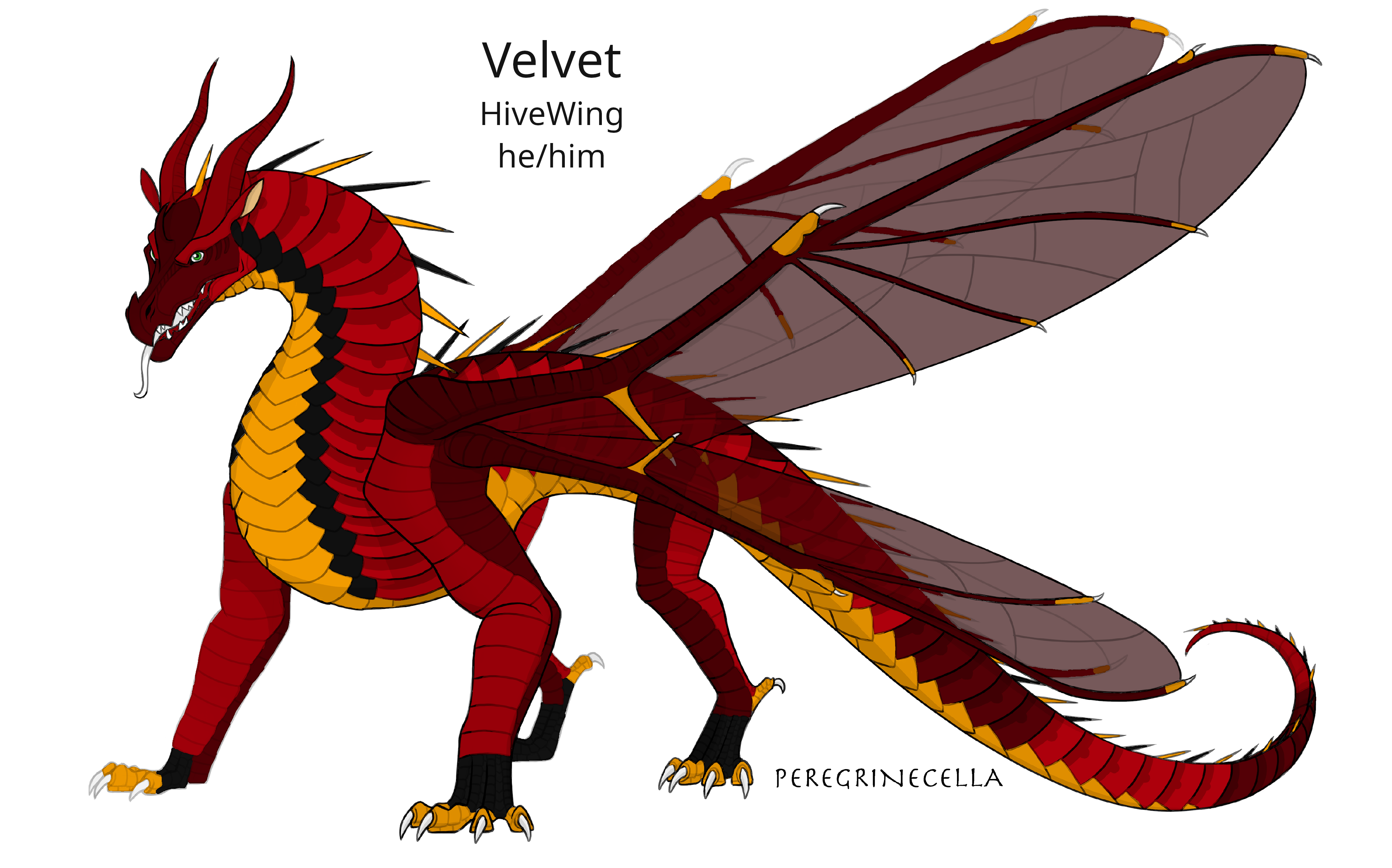 A HiveWing dragon. He is mostly red, with darker red on his face, wing digits, and parts of his back, tail, and legs. His underbelly is orange. He has black on parts of his neck and on his feet. He has insect wings.