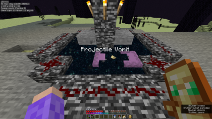 A shulker on its side in the end exit portal. It is named Projectile Vomit.